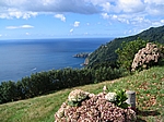 Insel Sao Miguel (Azoren) - Auf dem Weg nach Povoação