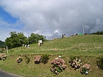 Insel Sao Miguel (Azoren) - Auf dem Weg nach Povoação