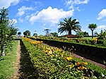 Insel Sao Miguel (Azoren) - Miradouro da Ponta do Sossego, ein besonders schöner Picknickplatz und Aussichtspunkt (knapp 2 km südlich von Pedreira)