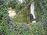 Lissabon - Zugewucherte Ruine in der Nähe der Burg